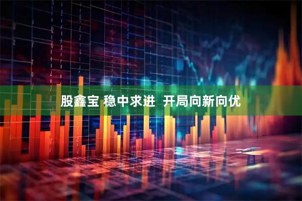 股鑫宝 稳中求进  开局向新向优