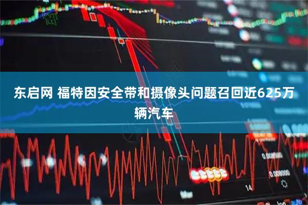 东启网 福特因安全带和摄像头问题召回近625万辆汽车