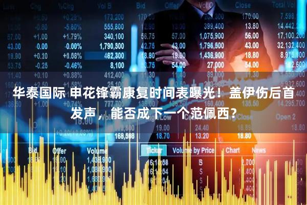 华泰国际 申花锋霸康复时间表曝光！盖伊伤后首发声，能否成下一个范佩西？