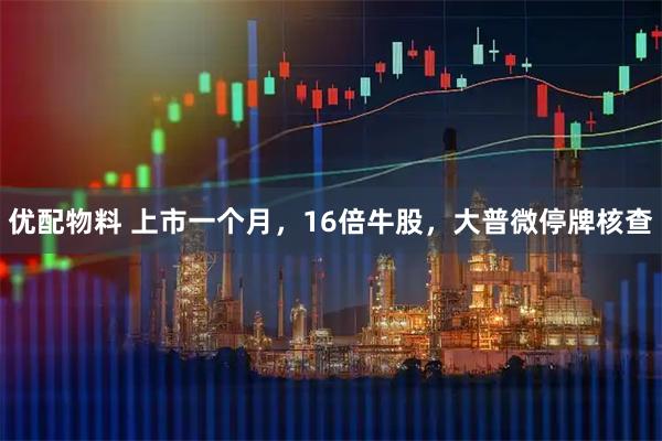 优配物料 上市一个月，16倍牛股，大普微停牌核查